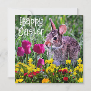 Conejo Feliz de Pascua Tarjeta de vacaciones de fl
