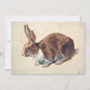 Conejo Floris Verster