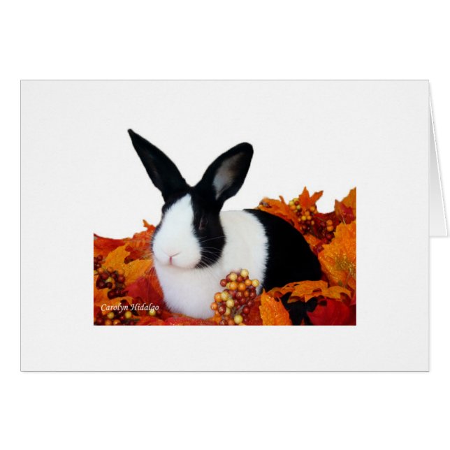 Conejo holandés en hojas de la caída (Anverso (Horizontal))