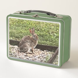 Conejo salvaje cerca del Jardín, cajas de almuerzo
