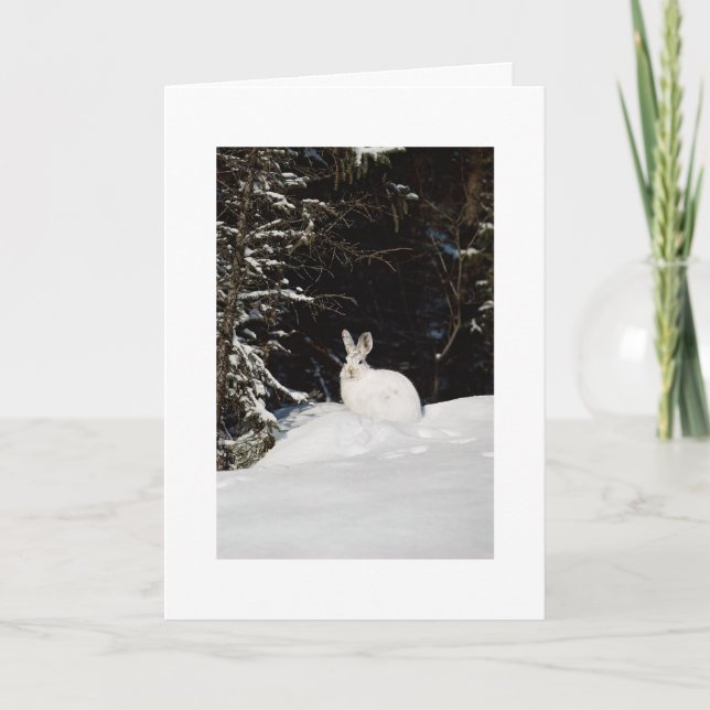 Conejo Salvaje En Navidades De Navidad De Nieve (Anverso)