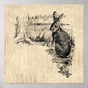 Conejo Vintage Arte Conejo Ilustrado