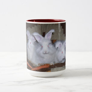 CONEJOS ALEMANES CAFÉ DEL ANGORA Y TAZA DEL CACAO