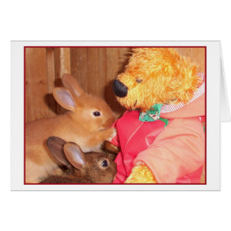 conejos del bebé del amor de los teddybears