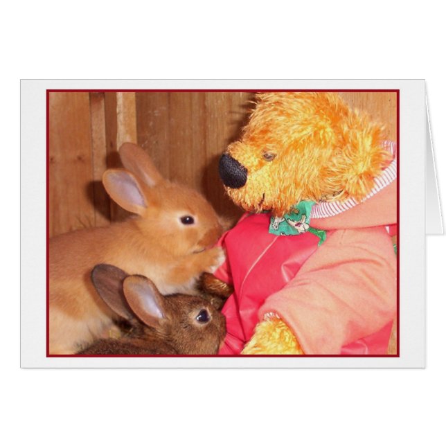 conejos del bebé del amor de los teddybears (Anverso (Horizontal))