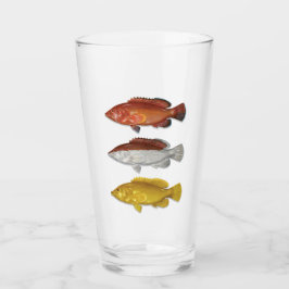 Coney Grouper Drink Glass