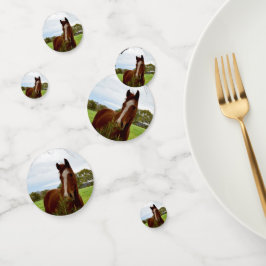 Confeti Caballo Con Un Árbol De Banksia,