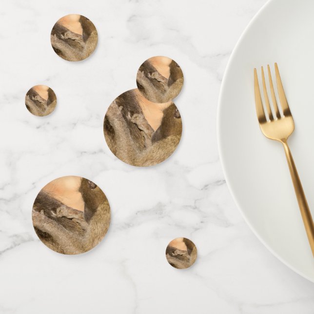 Confeti Cebollos (Grupo)