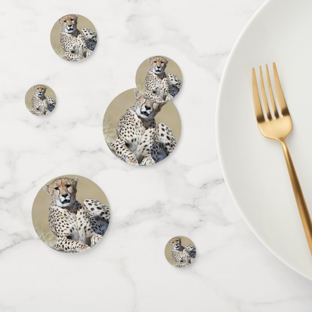 Confeti Chita en Masai Mara en Kenia. Foto (Grupo)