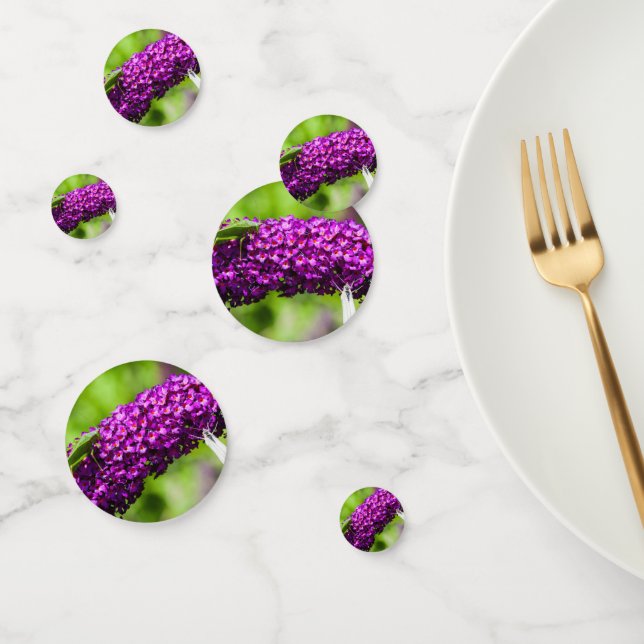 Confeti energía katydid (Grupo)