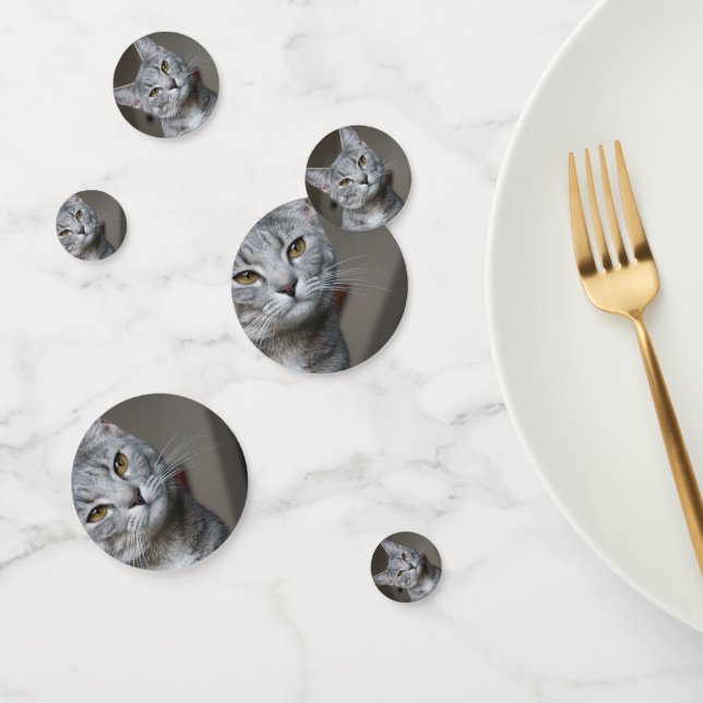 Confeti Foto personalizada de gato moderno (Grupo)