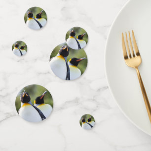 Confeti Fotografía de los pingüinos del rey orgulloso