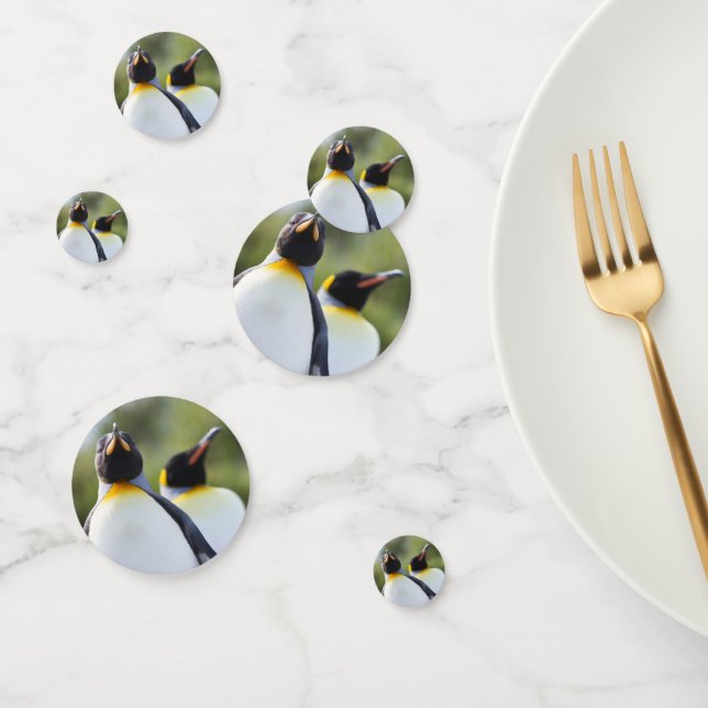 Confeti Fotografía de los pingüinos del rey orgulloso (Grupo)