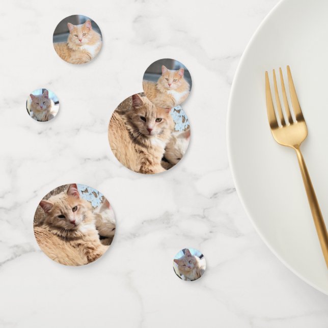 Confeti Gato (Grupo)