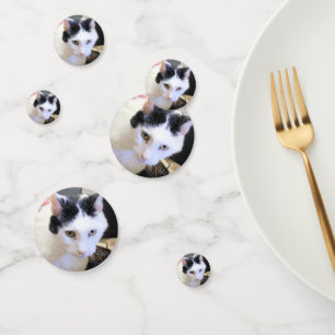 Confeti Gato