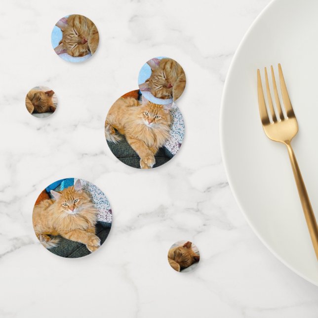 Confeti Ginger Cat (Grupo)