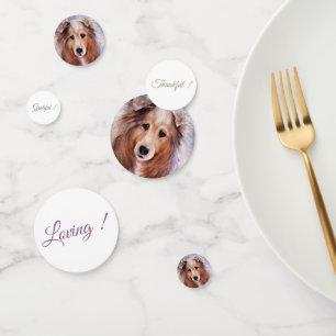 Confeti Gorgeous Golden Collie Dog Birthday