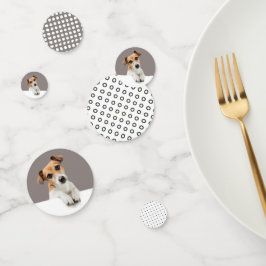 Confeti Jack Russell Puppy Sweet Adorable Baby Russell