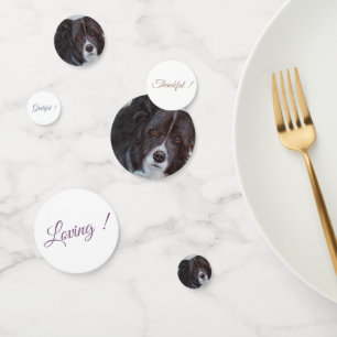 Confeti Nacimiento de Perro Collie Fronterizo Negro