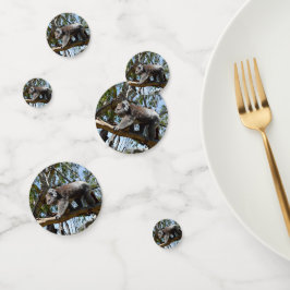 Confeti Oso australiano de Koala,