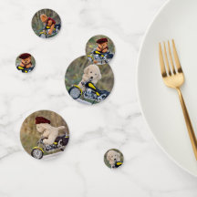 Oso de peluche motero y perro -