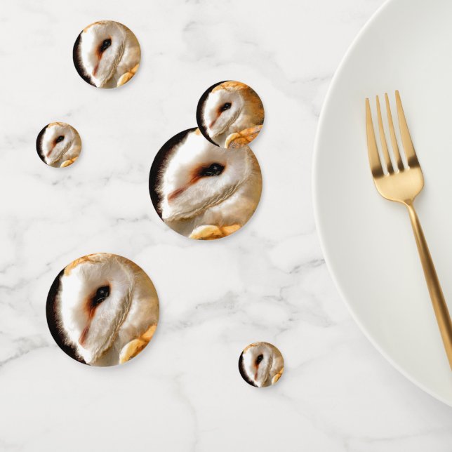 CONFETI OWLS (Grupo)