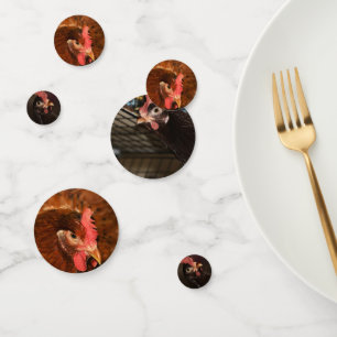 Confeti Pollo