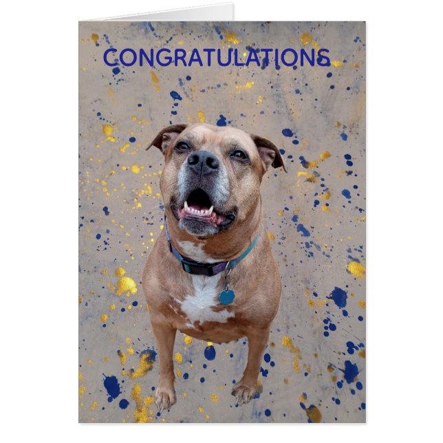 Confetti Congratulations Card (Frente)