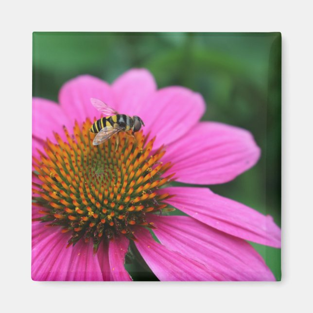 Conflor con imán Bee (Frente)