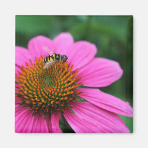 Conflor con imán de abeja