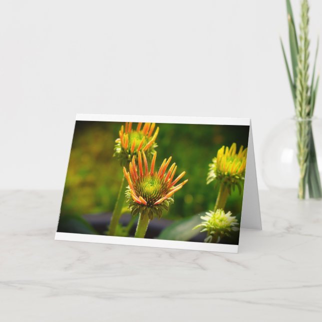 Conflor, tarjeta (Anverso)