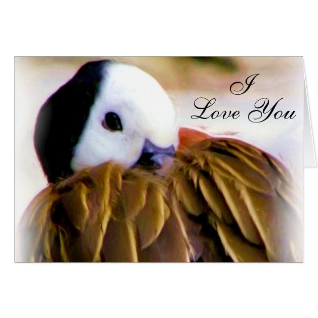 Confort del amor (Anverso (Horizontal))