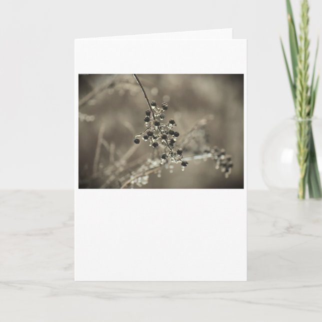 Congelación de invierno, tarjeta (Anverso)