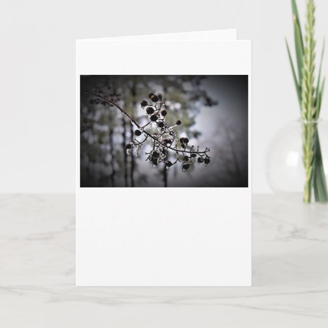 Congelación de invierno, tarjeta (Anverso)
