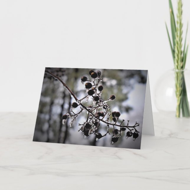Congelación de invierno, tarjeta (Anverso)