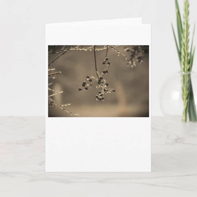 Congelación de invierno, tarjeta (Anverso)