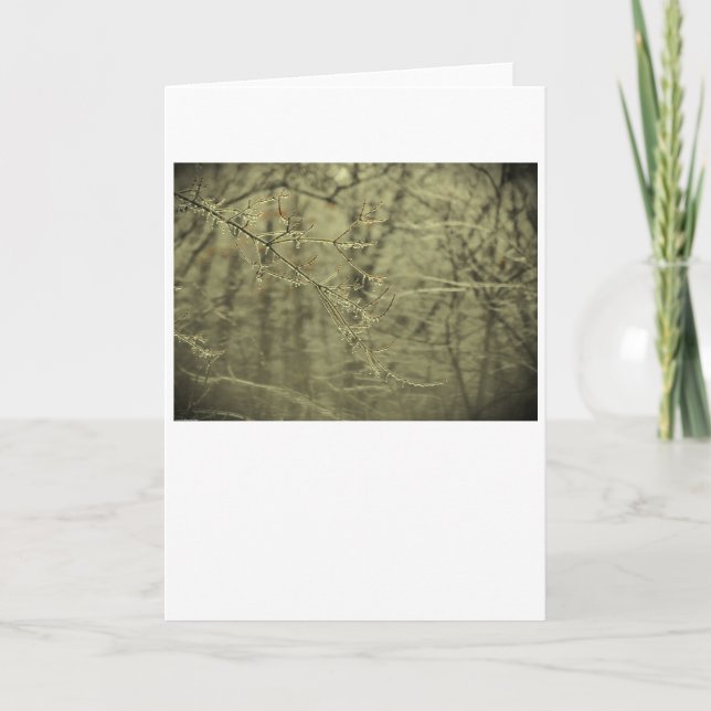 Congelación de invierno, tarjeta (Anverso)