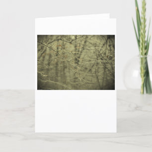 Congelación de invierno, tarjeta