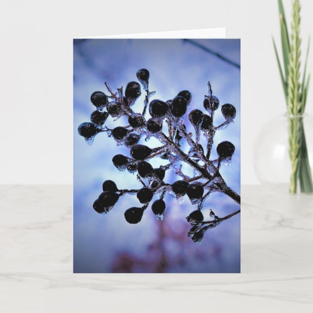 Congelación de invierno, tarjeta (Anverso)