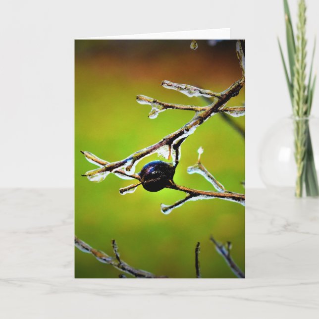 Congelación de invierno, tarjeta (Anverso)