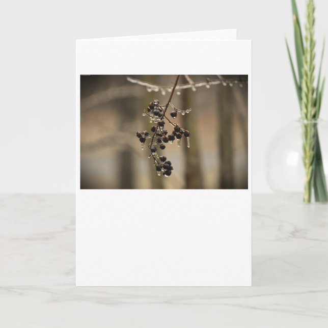 Congelación de invierno, tarjeta (Anverso)