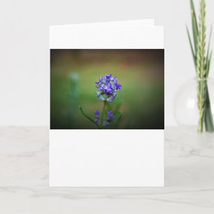 Congelación de invierno, tarjeta