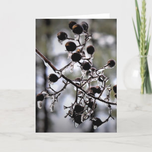 Congelación de invierno, tarjeta