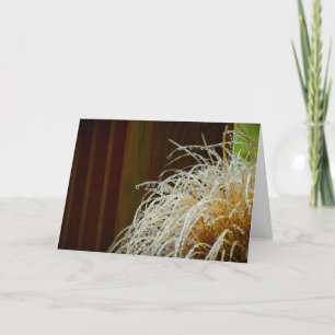 Congelación de invierno, tarjeta