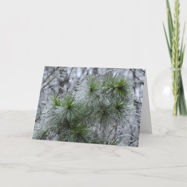 Congelación de invierno, tarjeta (Anverso)