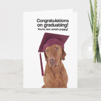 Congrats en la graduación (Vizsla) - tarjeta de