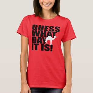 Conjetura qué día es camiseta del camello del d