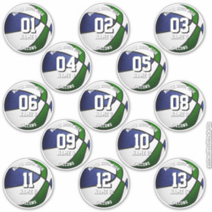 conjunto de 13 calcomanías de baloncesto colores d