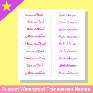 (Conjunto de 18) Pegatinas de nombre simples trans
