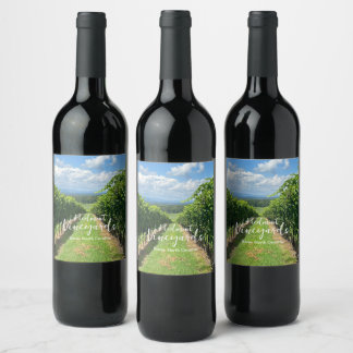 Conjunto de etiquetas de vinos de viñedos